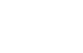 Moli Main Logo Footer